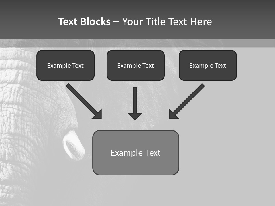 Large Face Skinned PowerPoint Template