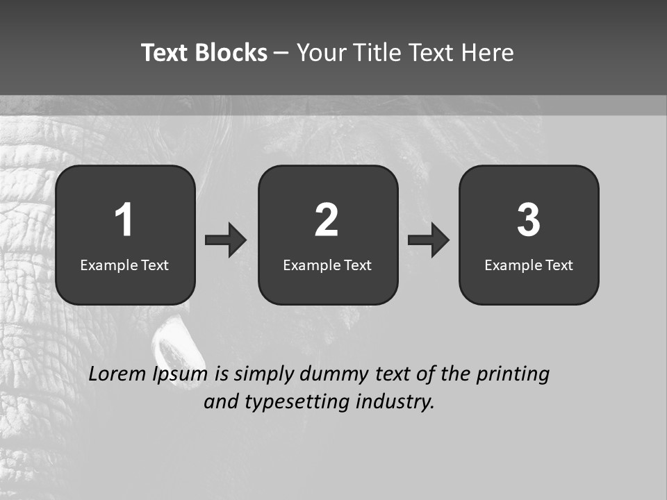Large Face Skinned PowerPoint Template