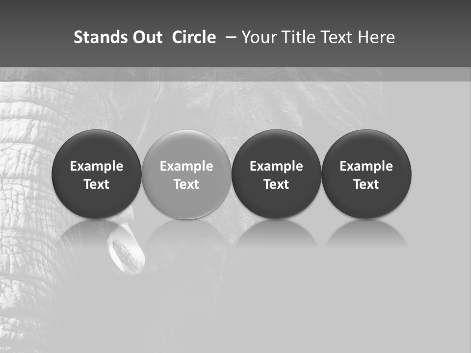 Large Face Skinned PowerPoint Template