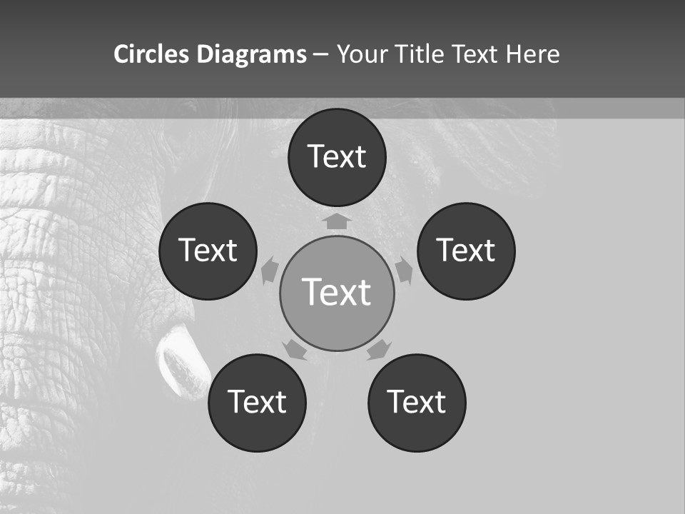 Large Face Skinned PowerPoint Template
