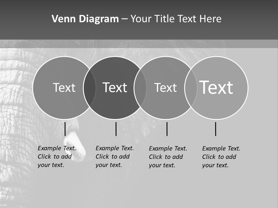 Large Face Skinned PowerPoint Template