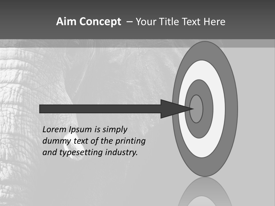 Large Face Skinned PowerPoint Template
