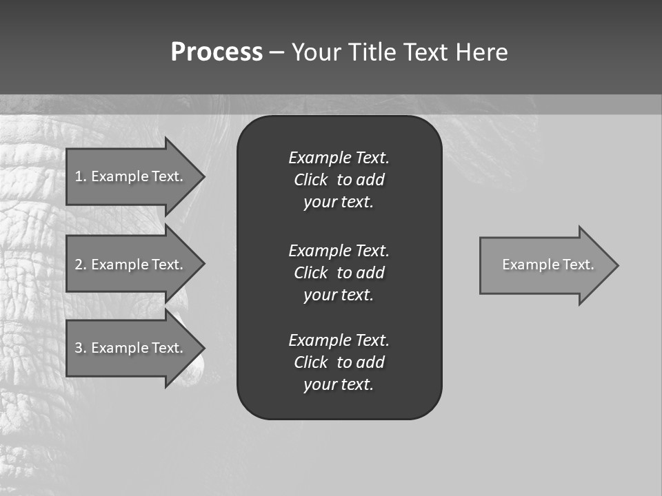 Large Face Skinned PowerPoint Template