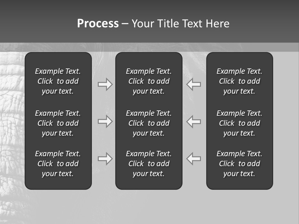 Large Face Skinned PowerPoint Template