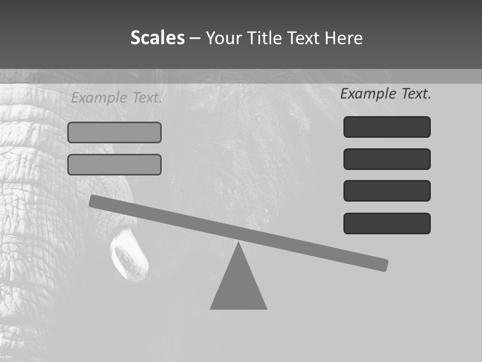 Large Face Skinned PowerPoint Template