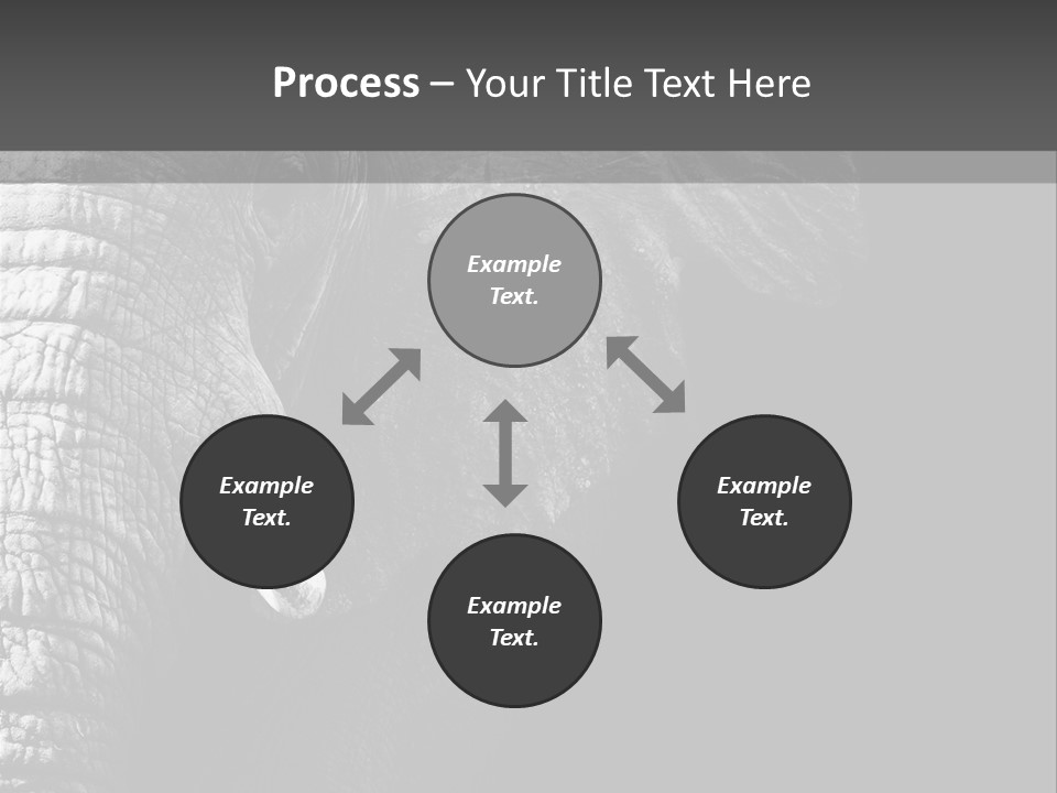 Large Face Skinned PowerPoint Template