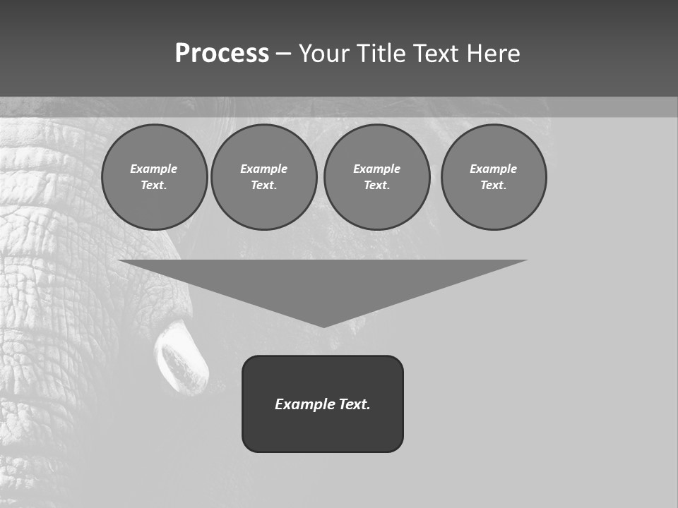 Large Face Skinned PowerPoint Template