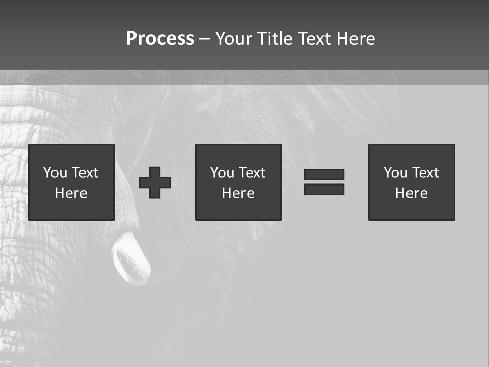 Large Face Skinned PowerPoint Template