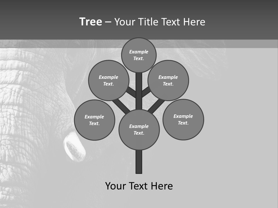 Large Face Skinned PowerPoint Template