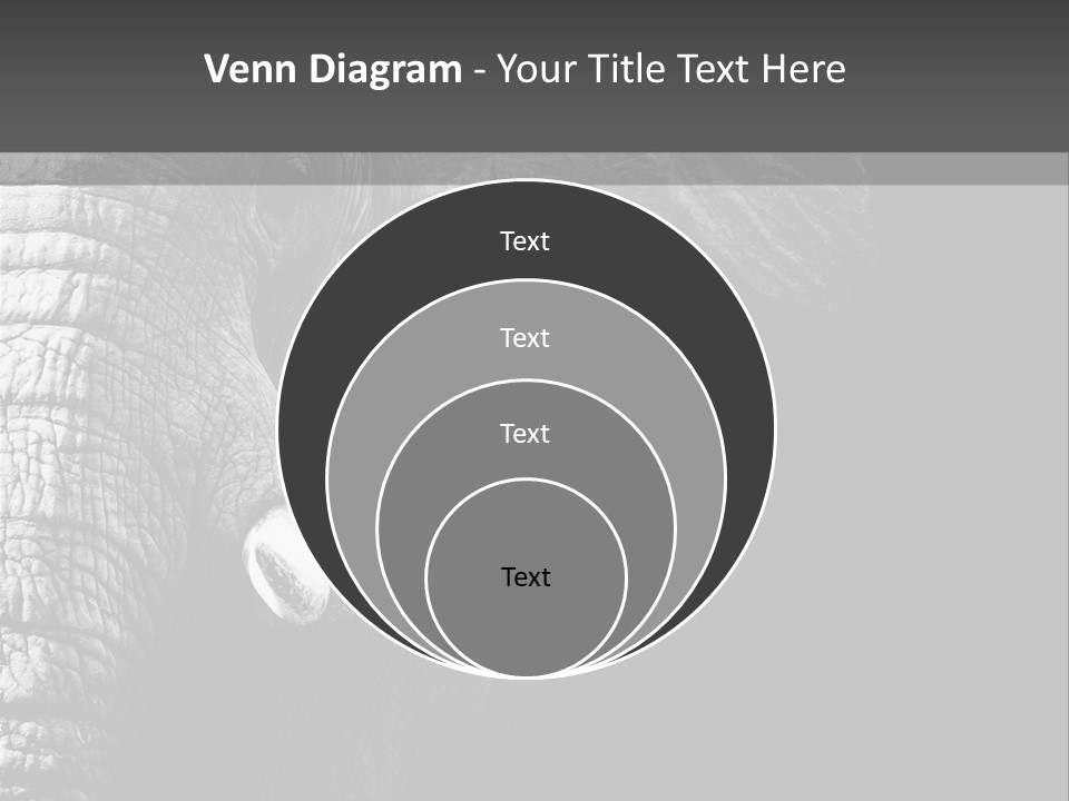 Large Face Skinned PowerPoint Template