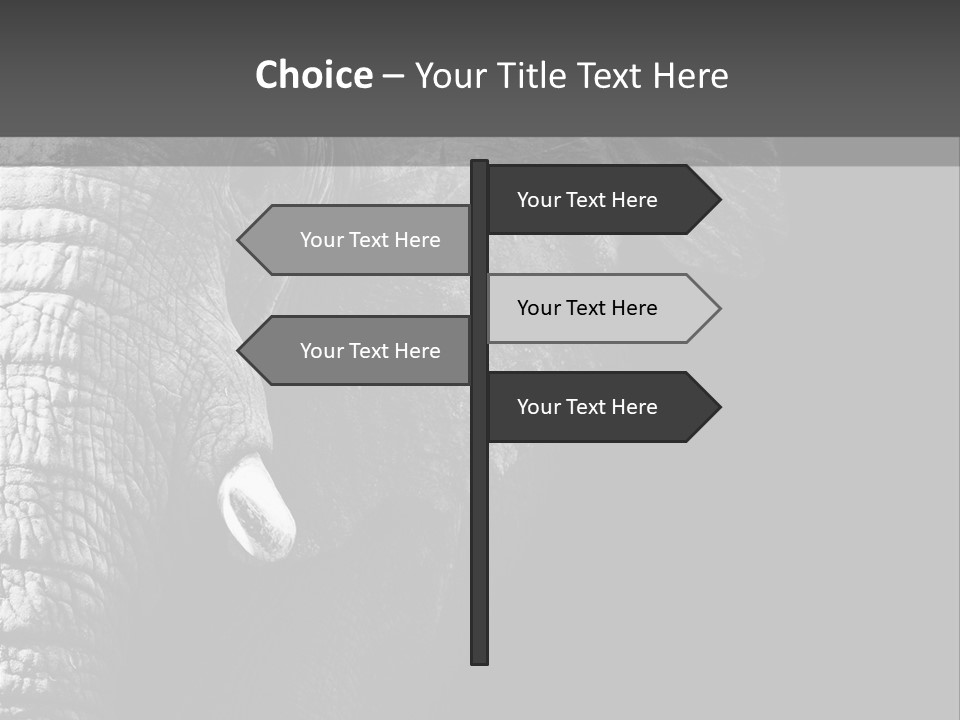 Large Face Skinned PowerPoint Template
