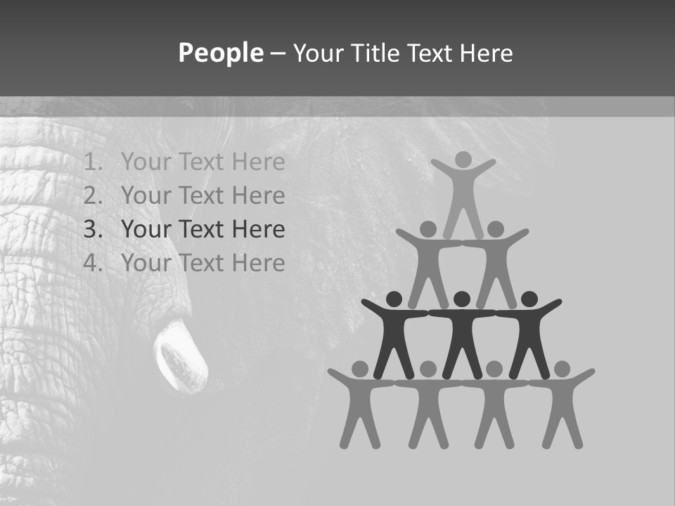 Large Face Skinned PowerPoint Template