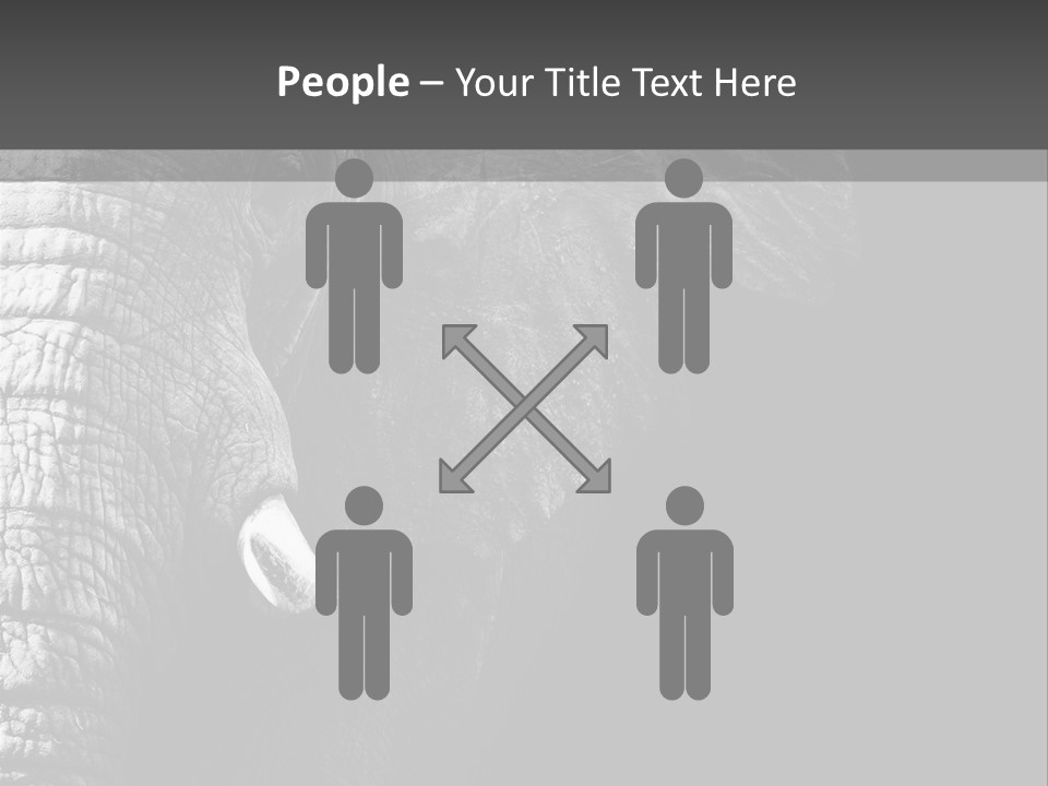 Large Face Skinned PowerPoint Template