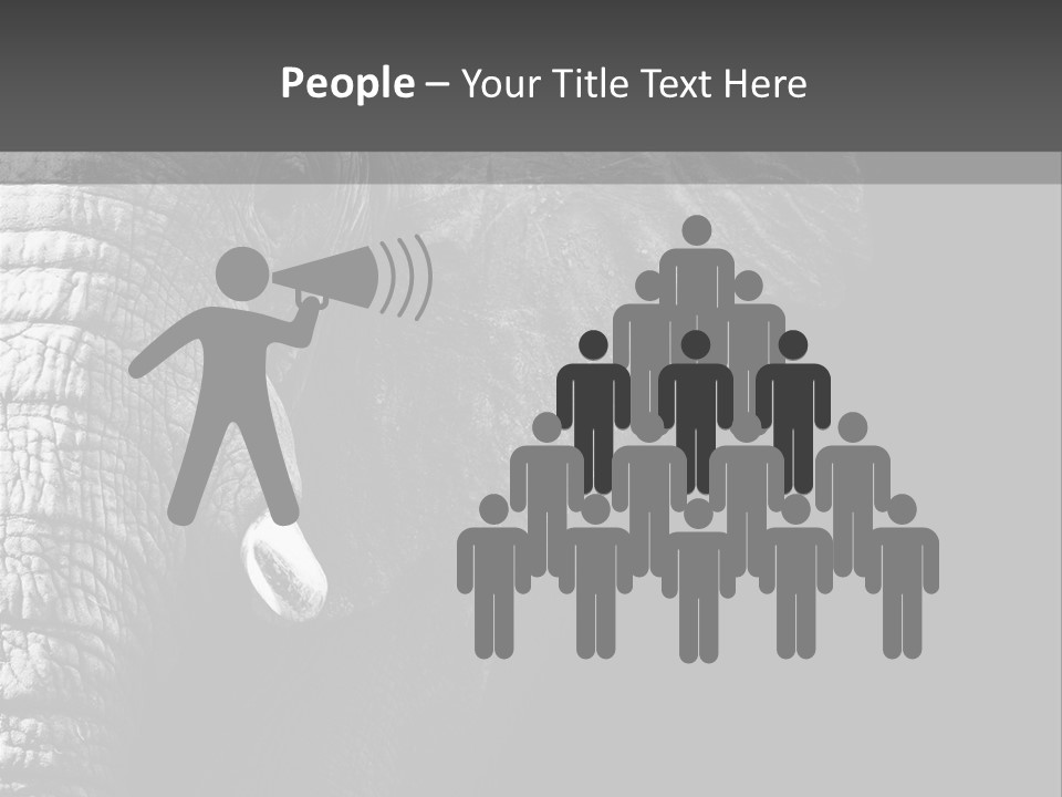 Large Face Skinned PowerPoint Template