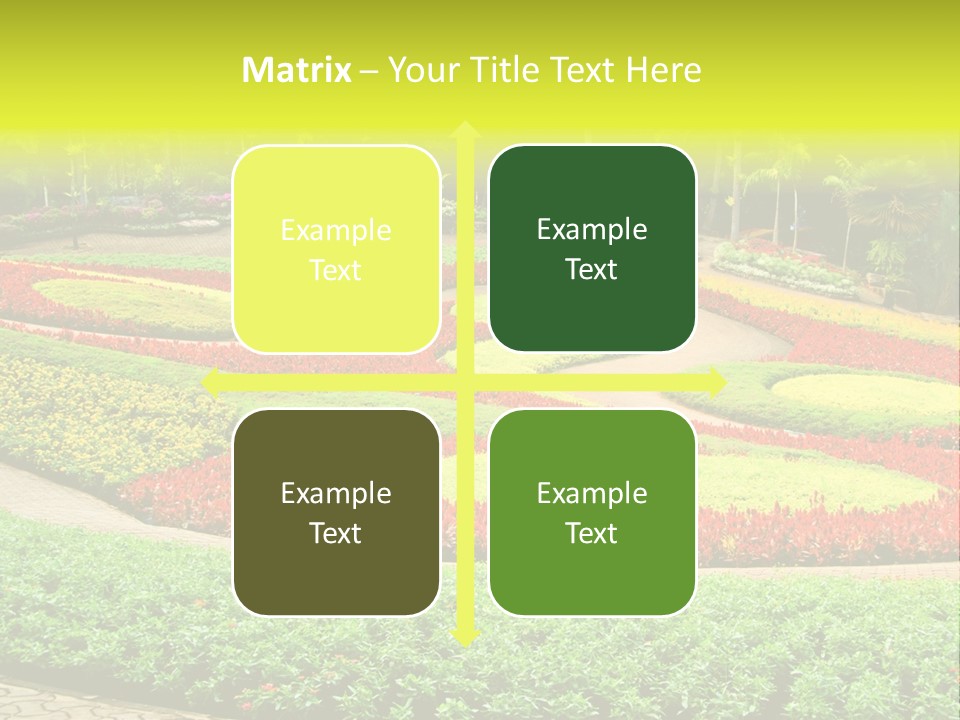 Beautiful Petal Nature PowerPoint Template