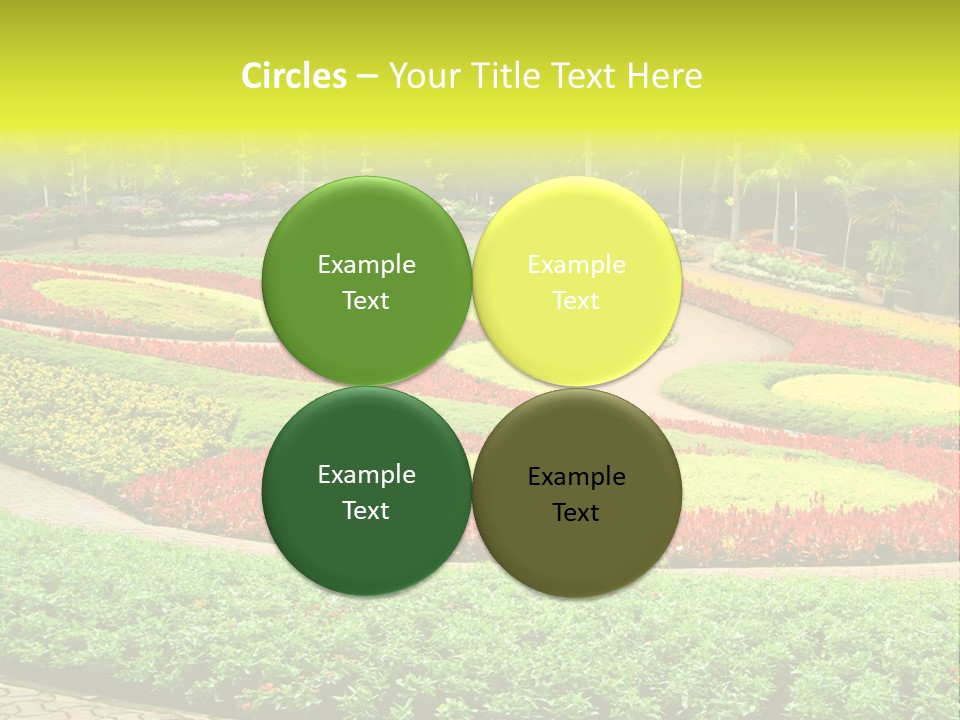 Beautiful Petal Nature PowerPoint Template