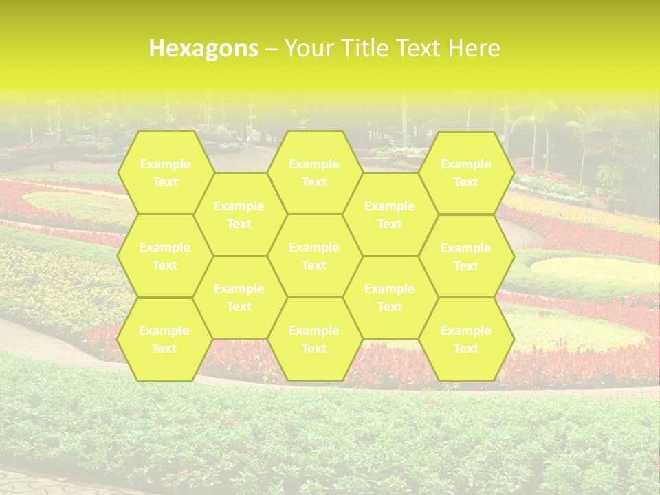 Beautiful Petal Nature PowerPoint Template