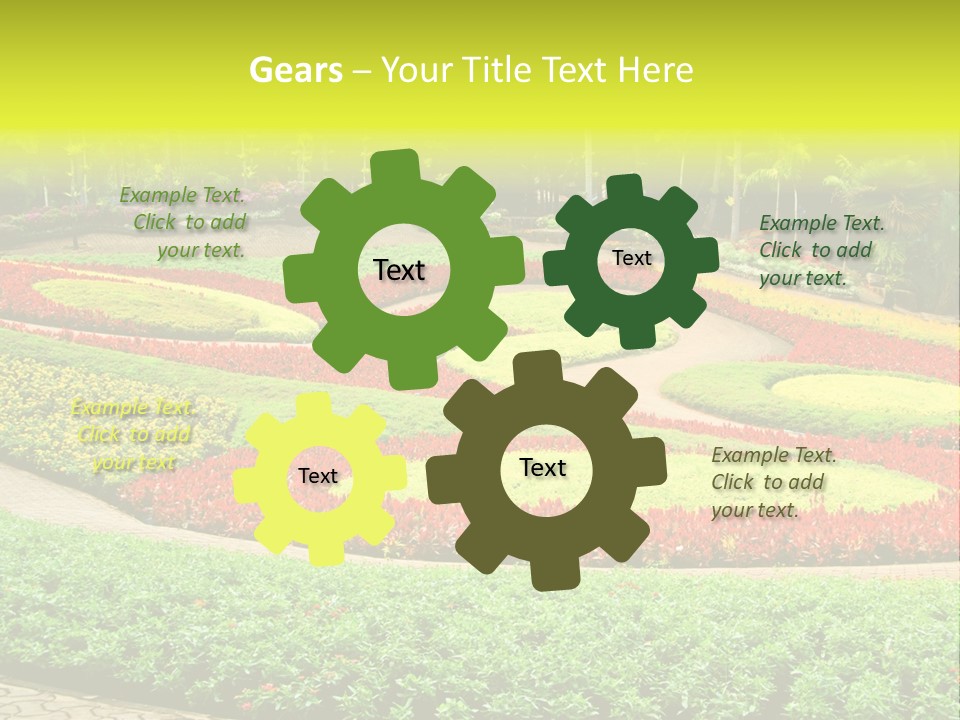 Beautiful Petal Nature PowerPoint Template