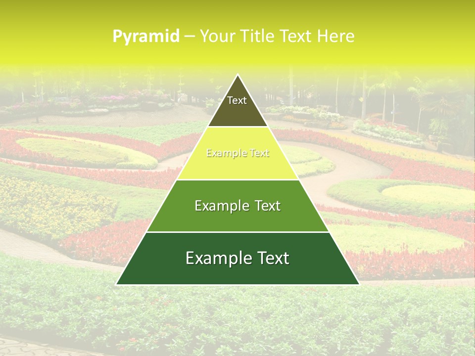 Beautiful Petal Nature PowerPoint Template