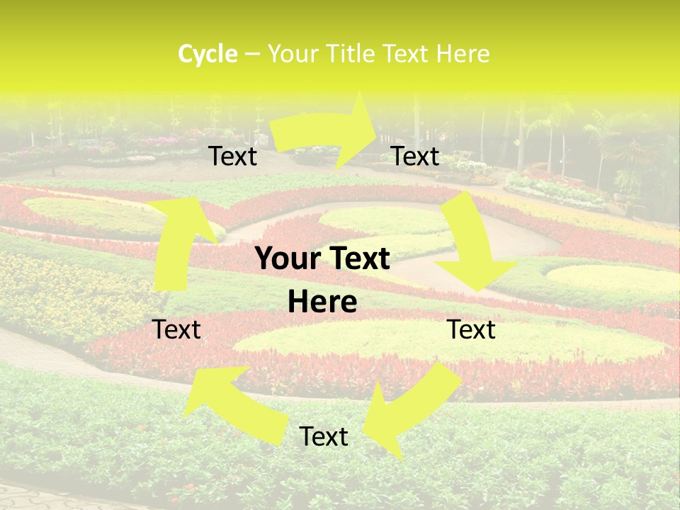 Beautiful Petal Nature PowerPoint Template