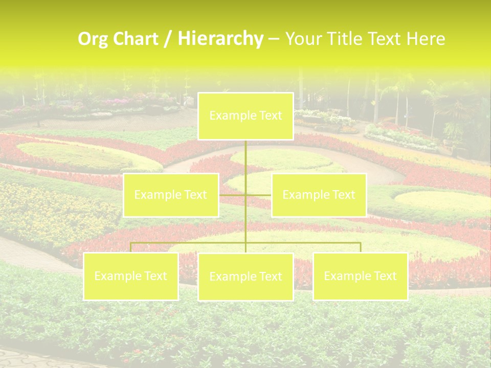 Beautiful Petal Nature PowerPoint Template