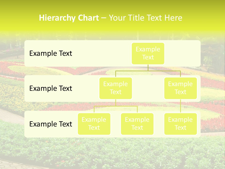 Beautiful Petal Nature PowerPoint Template