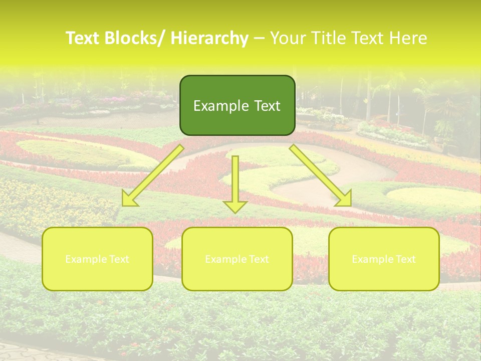 Beautiful Petal Nature PowerPoint Template