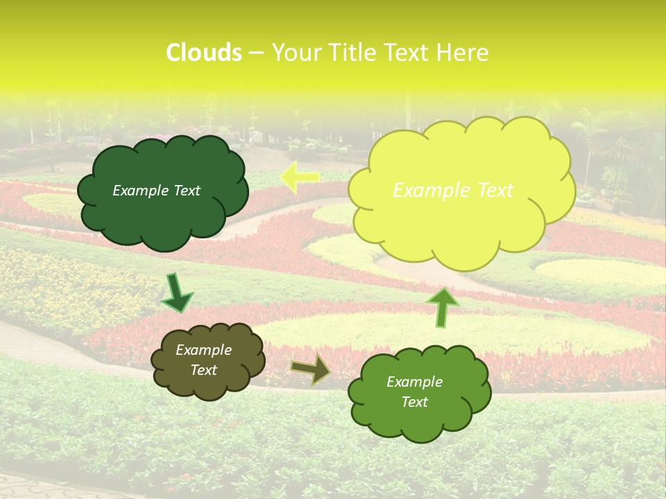 Beautiful Petal Nature PowerPoint Template