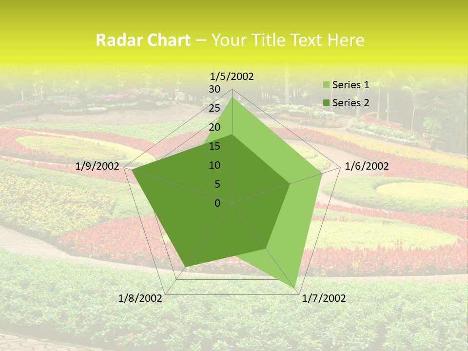 Beautiful Petal Nature PowerPoint Template