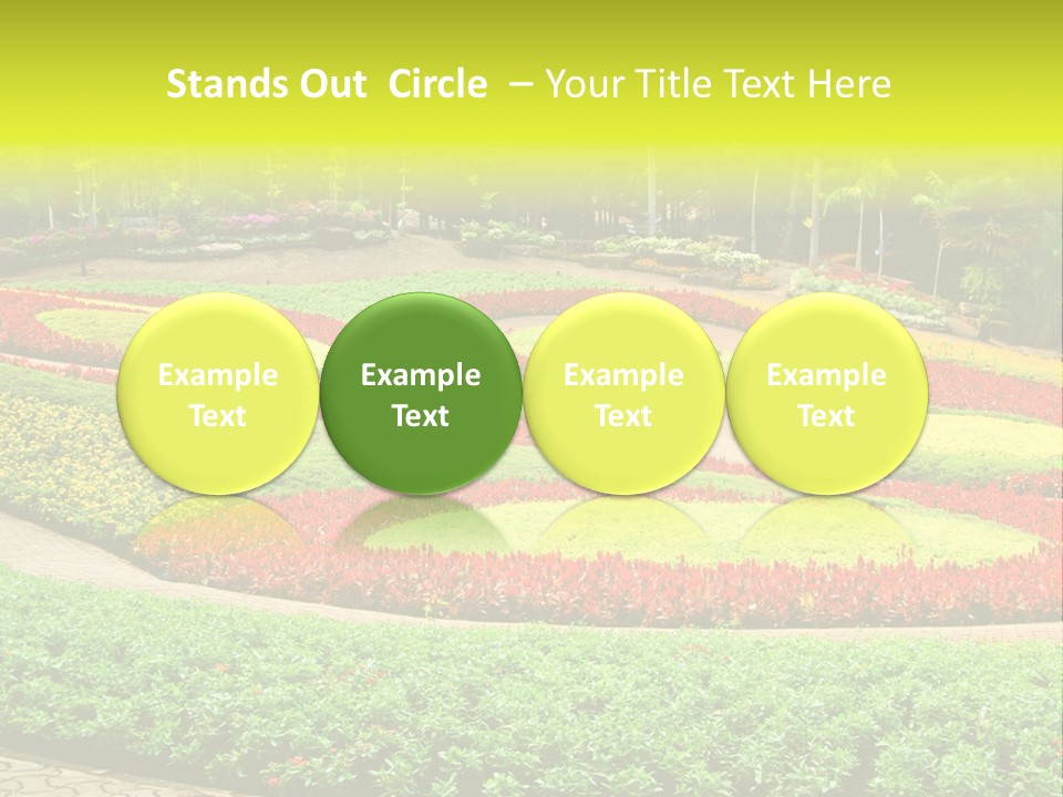 Beautiful Petal Nature PowerPoint Template