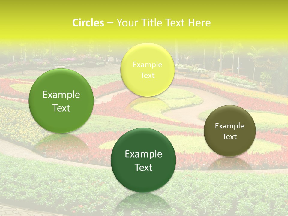 Beautiful Petal Nature PowerPoint Template