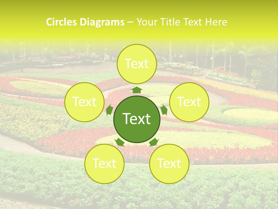 Beautiful Petal Nature PowerPoint Template