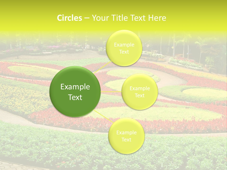 Beautiful Petal Nature PowerPoint Template