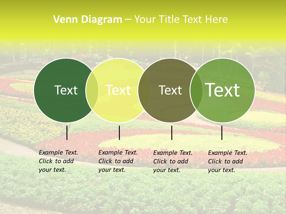 Beautiful Petal Nature PowerPoint Template