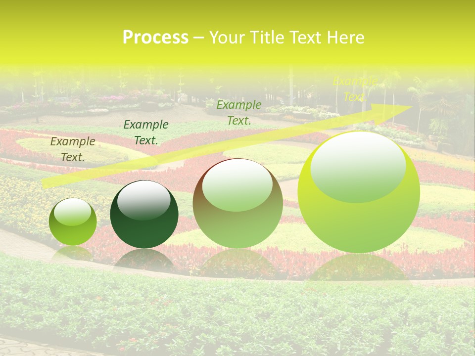 Beautiful Petal Nature PowerPoint Template