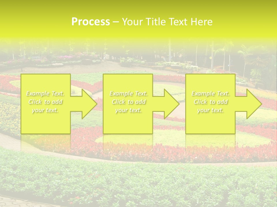 Beautiful Petal Nature PowerPoint Template