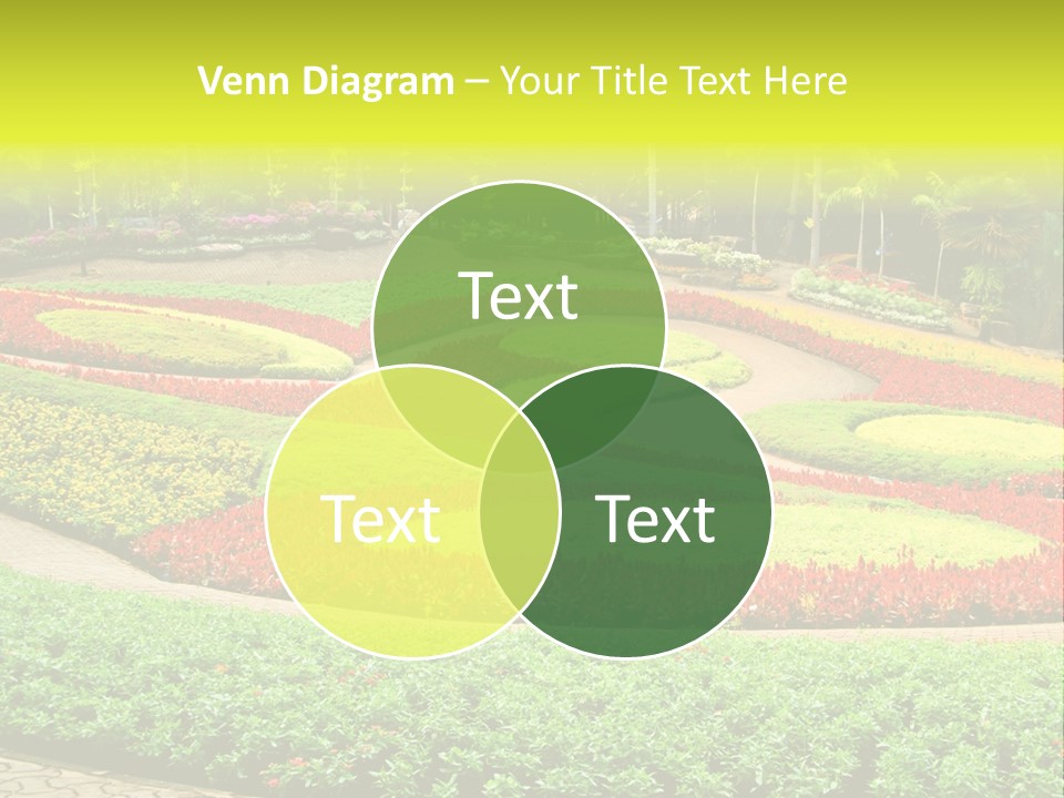 Beautiful Petal Nature PowerPoint Template