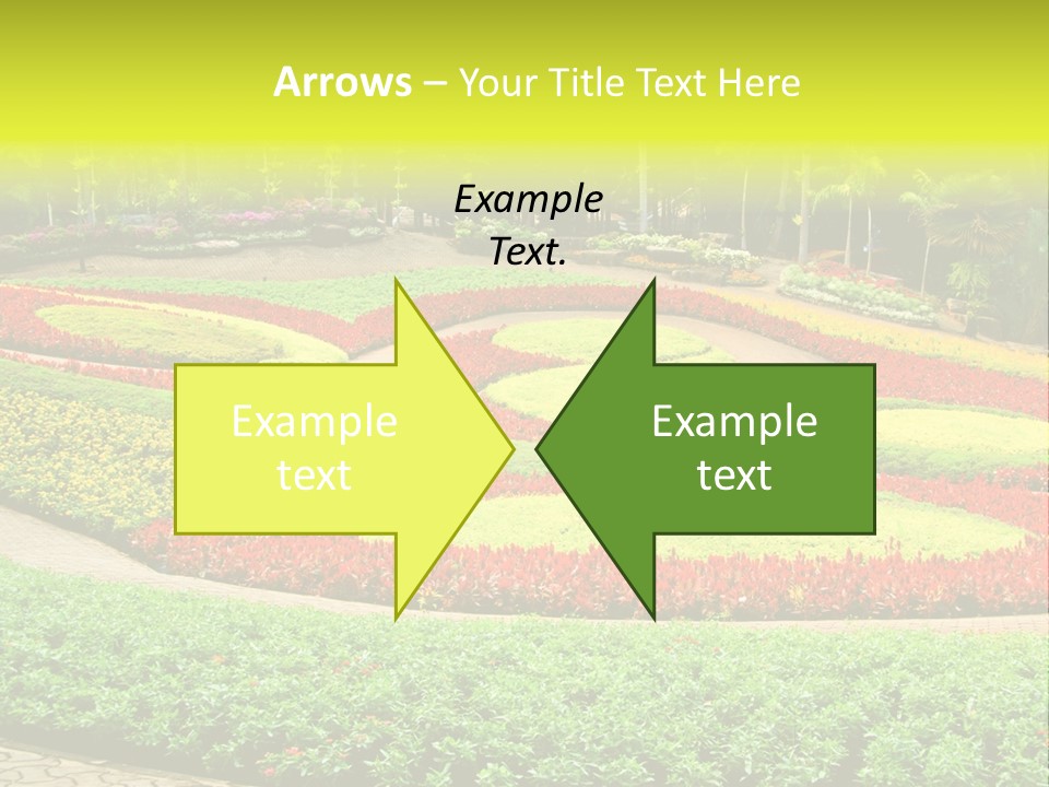 Beautiful Petal Nature PowerPoint Template