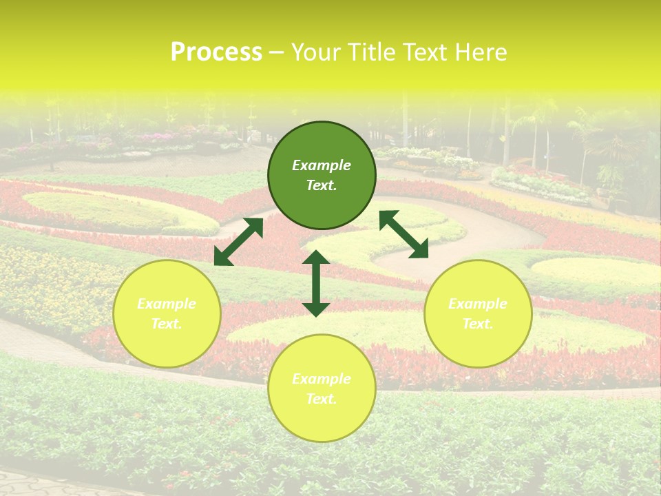 Beautiful Petal Nature PowerPoint Template