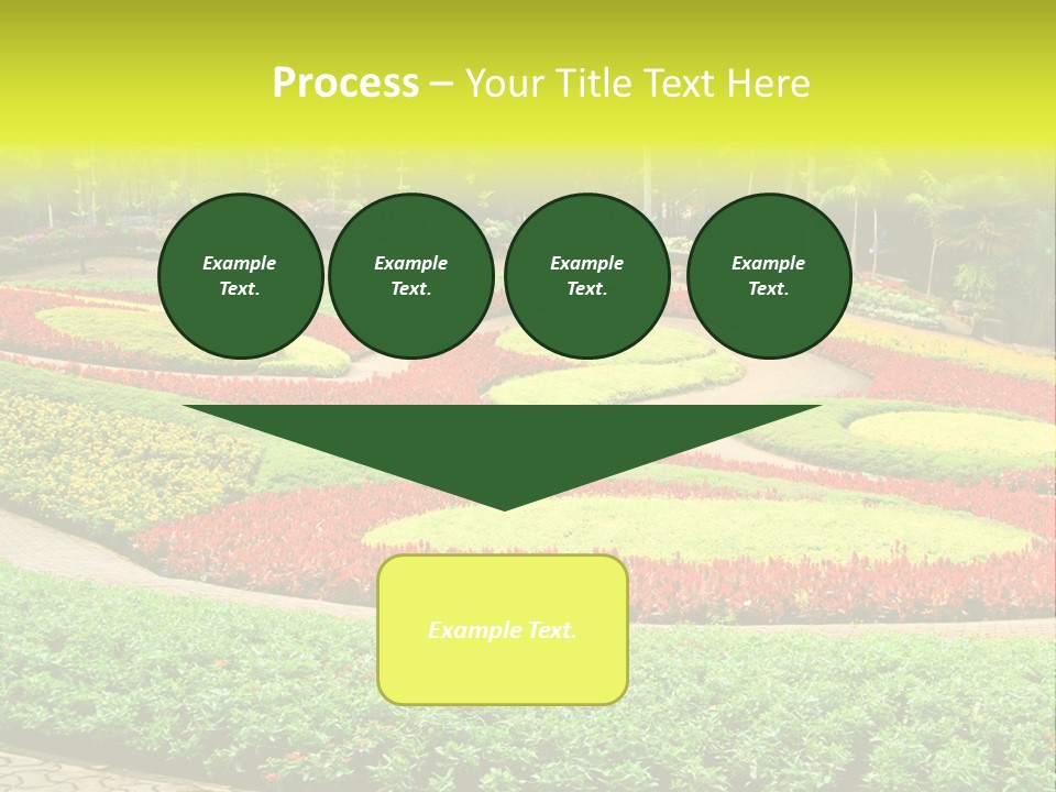 Beautiful Petal Nature PowerPoint Template