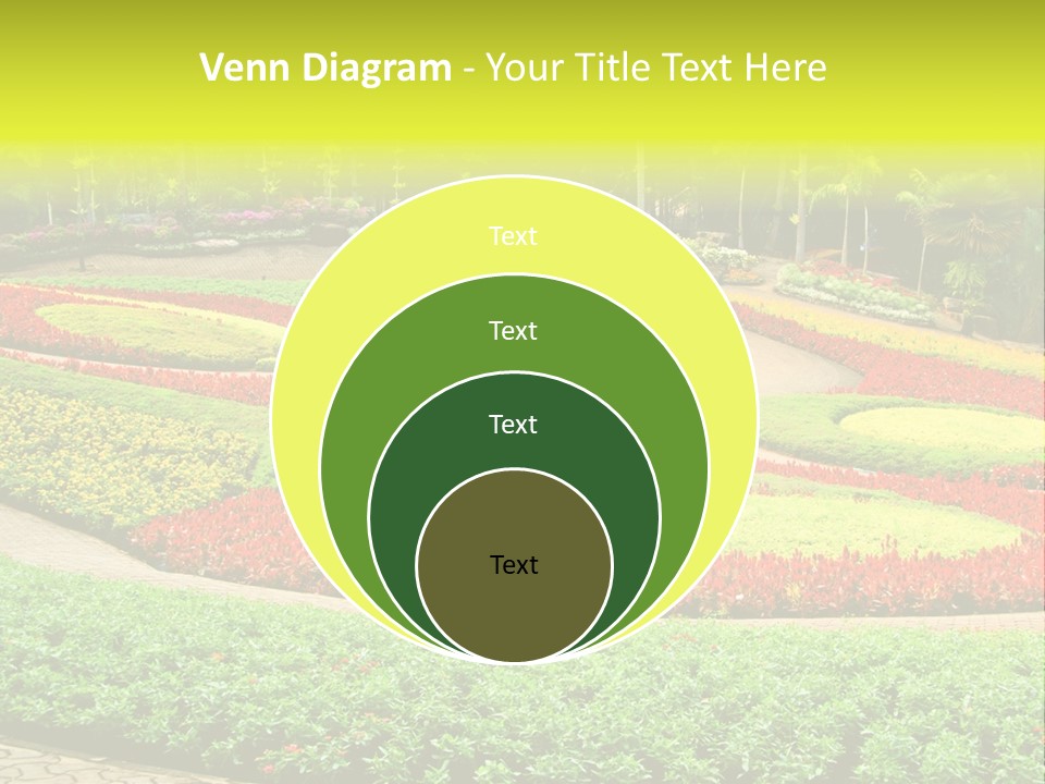 Beautiful Petal Nature PowerPoint Template