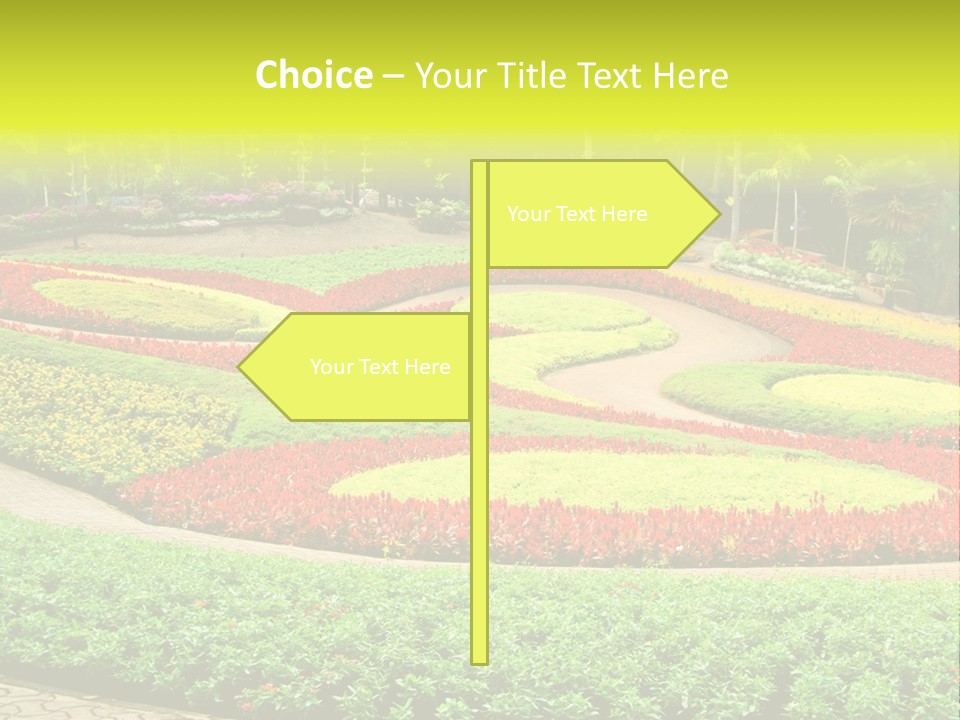 Beautiful Petal Nature PowerPoint Template