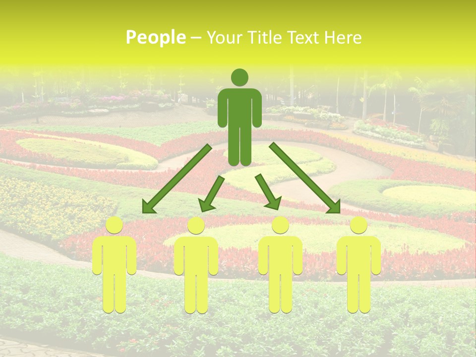 Beautiful Petal Nature PowerPoint Template