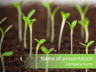 Green Hope Land PowerPoint Template