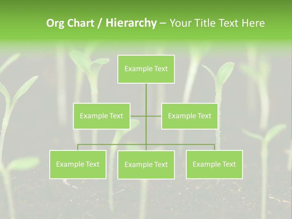 Green Hope Land PowerPoint Template