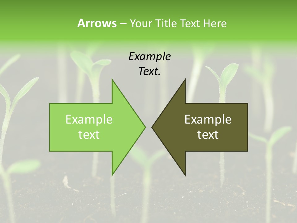 Green Hope Land PowerPoint Template
