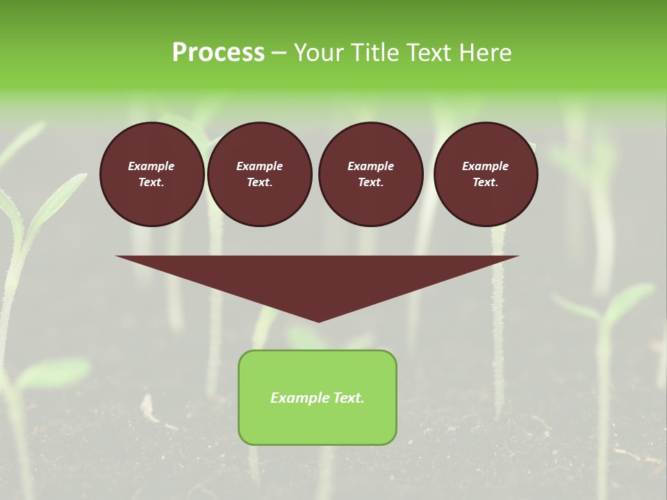 Green Hope Land PowerPoint Template