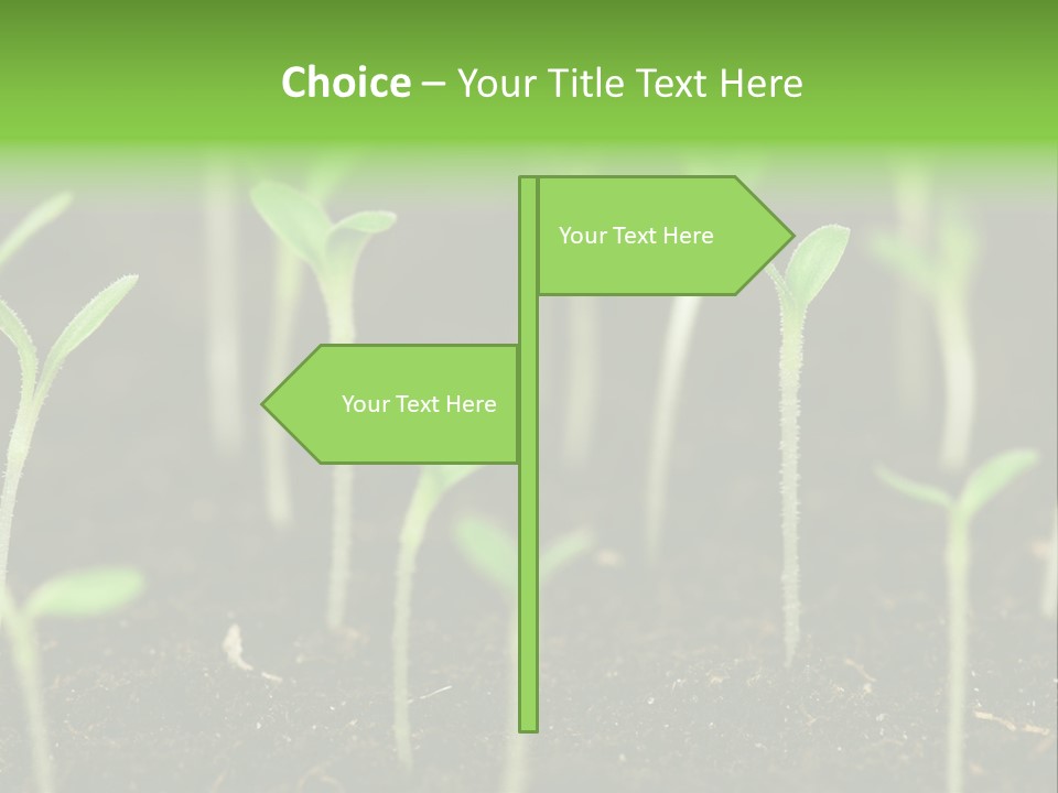 Green Hope Land PowerPoint Template