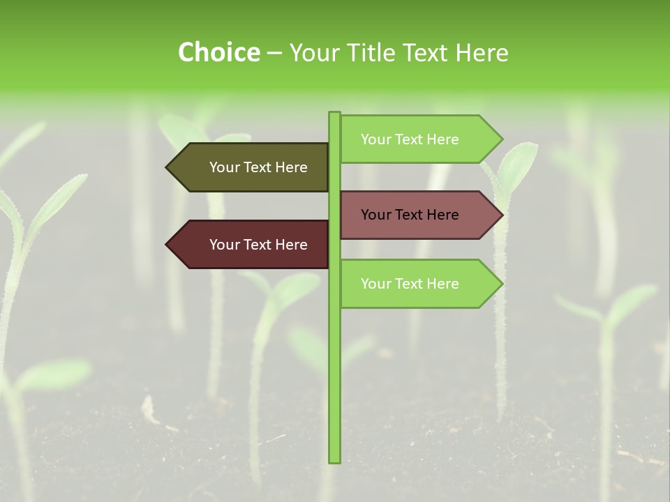 Green Hope Land PowerPoint Template