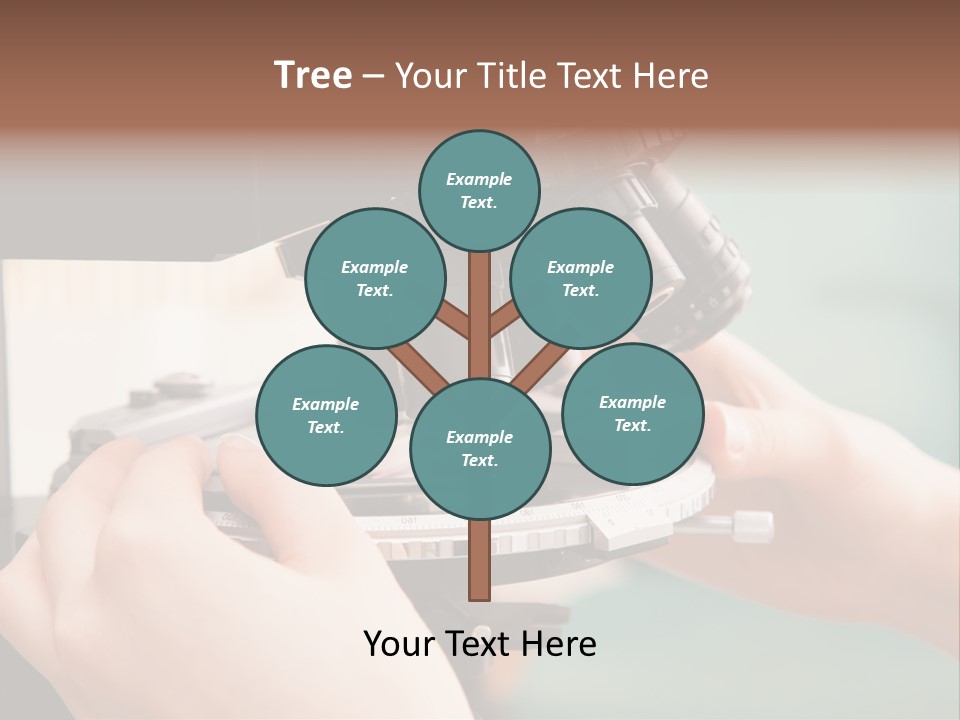 Medicine Tray Slide PowerPoint Template